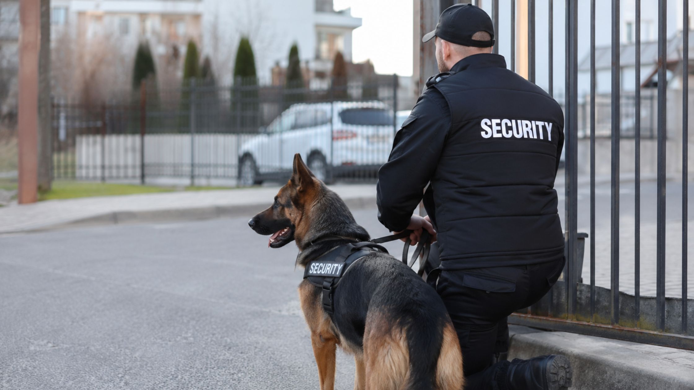 Dog Security Companies